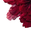 🥀
