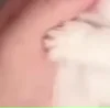 ⭐