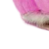 💗