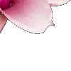 ⭐