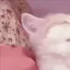 ⭐