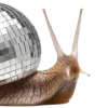 🪩