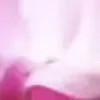 ⭐