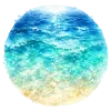 🐬