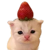 🍓
