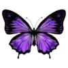🦋