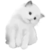 🐈‍⬛