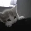 😊