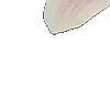 ⭐