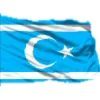 🏳️