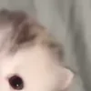 ⭐