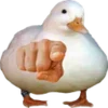 🫵