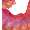 🐙