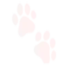 🐾