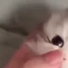 ⭐