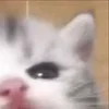 ⭐