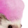💗
