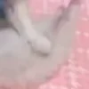 ⭐