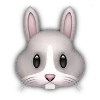 🐰