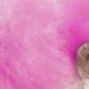💗