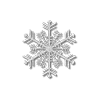 ❄️