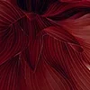 🥀
