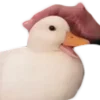 🦆
