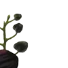 🥀