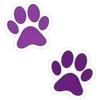 🐾