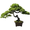 🌳