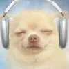 🎧