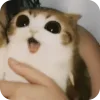 🫥