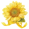 💛