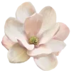 🌸