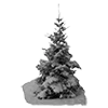 🌲