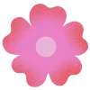 🌸