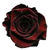 🥀