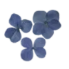 💐