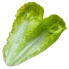 💚