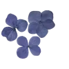 🌸