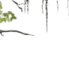 🌿