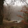 🍂