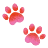 🐾