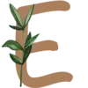 🌿