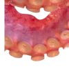 🐙