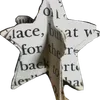 🌟