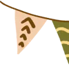 🚩
