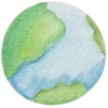 🌍