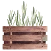 🌱