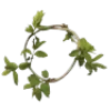 🌿